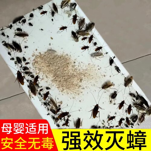 蟑螂屋强力贴粘板蟑螂药家用无毒一窝端全魔盒捕捉灭消杀除蟑螂夹