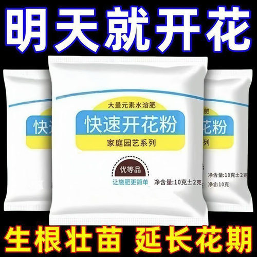 三角梅催花开花粉促芽剂催光