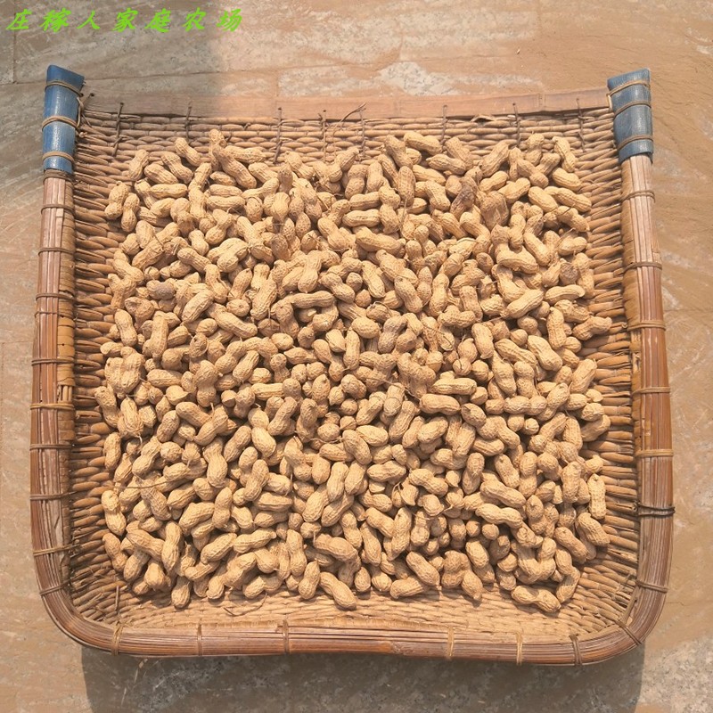 带壳花生2025年新花生上市新鲜自然晒干 原味炒花生 粉红皮花生米
