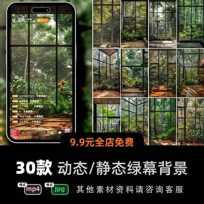 动态视频背景窗外树林植物绿植室内mp4竖屏设计jpg绿幕直播间素材