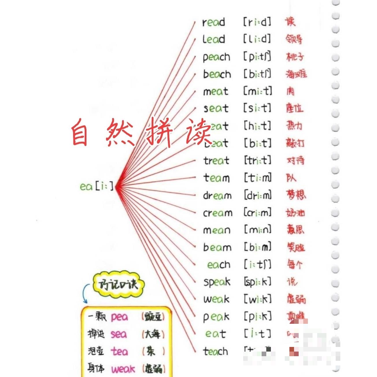 104页音标+自然拼读轻松学英语记单词小学初中都适用发电子版