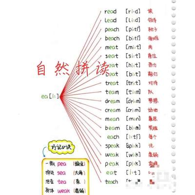 104页音标+自然拼读 轻松学英语记单词 小学初中都适用发电子版