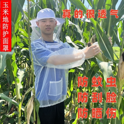 玉米地防护面罩防刮脸掰玉米