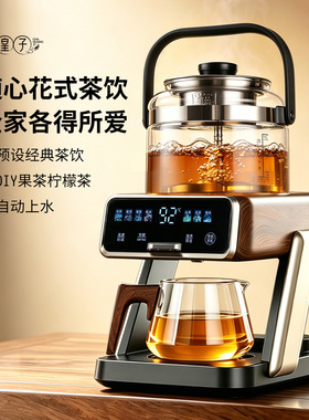 茶皇子茶水分离萃茶机智能恒温自动出水煮茶器家用不锈钢电热水壶