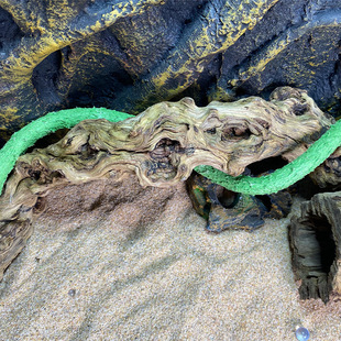 寄居蟹攀爬架仿真藤蔓爬宠箱造景装饰树藤蜥蜴蜘蛛攀爬藤蔓树枝