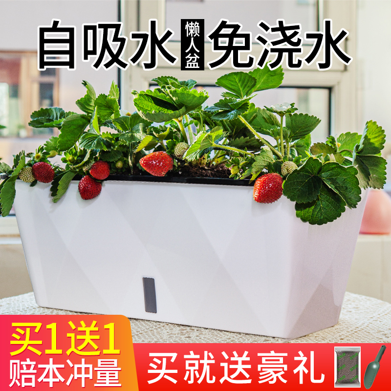 塑料花盆简约风塑料懒人自吸水