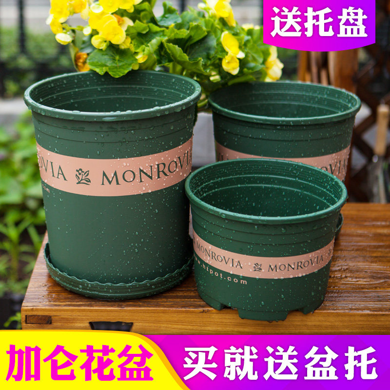 正品加伦花盆加厚树脂塑料花盆多肉绿萝阳台种花种菜月季特大清仓