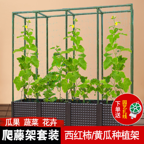 爬藤架种菜支架黄瓜丝瓜支撑杆