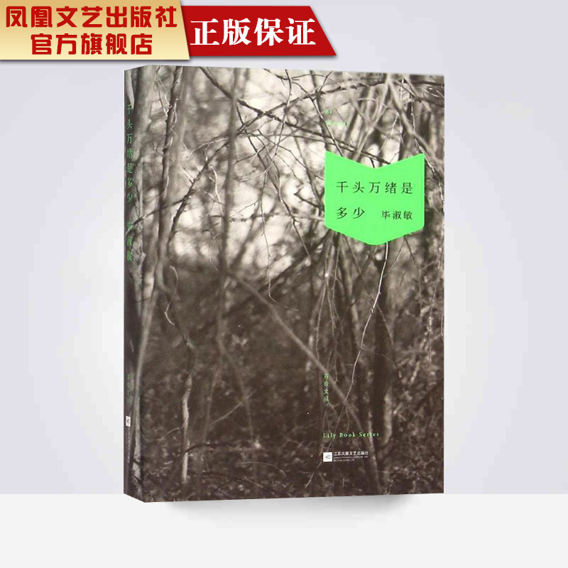 千头万绪是多少/毕淑敏
