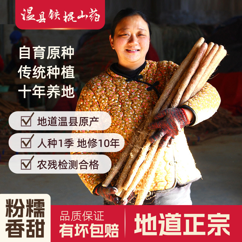 河南焦作发出真正的温县铁棍山药