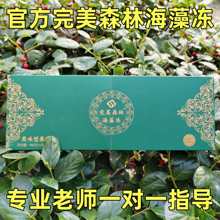 官方正品果冻凝胶酵素完美森林