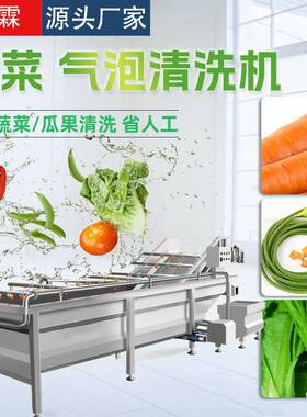 胡萝卜蒜薹清洗机 不锈钢油麦菜清洗线设备 土豆清洗流水线设备
