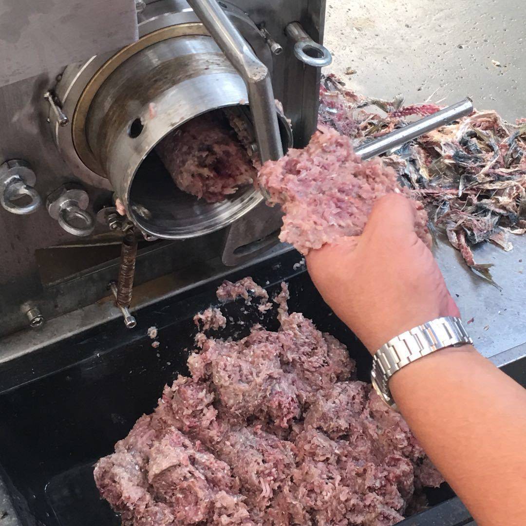 海鲜丸子加工成套设备价格商用鱼肉采肉机泥鳅螃蟹虾挤肉机厂家