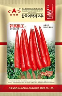 韩系椒王朝天椒种子簇生香辣椒籽种基地用种春季辣椒种苗蔬菜种孑