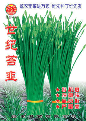 拯农韭菜世纪苔韭种子优质韭菜种籽河南韭菜种子特价高产韭菜种孑