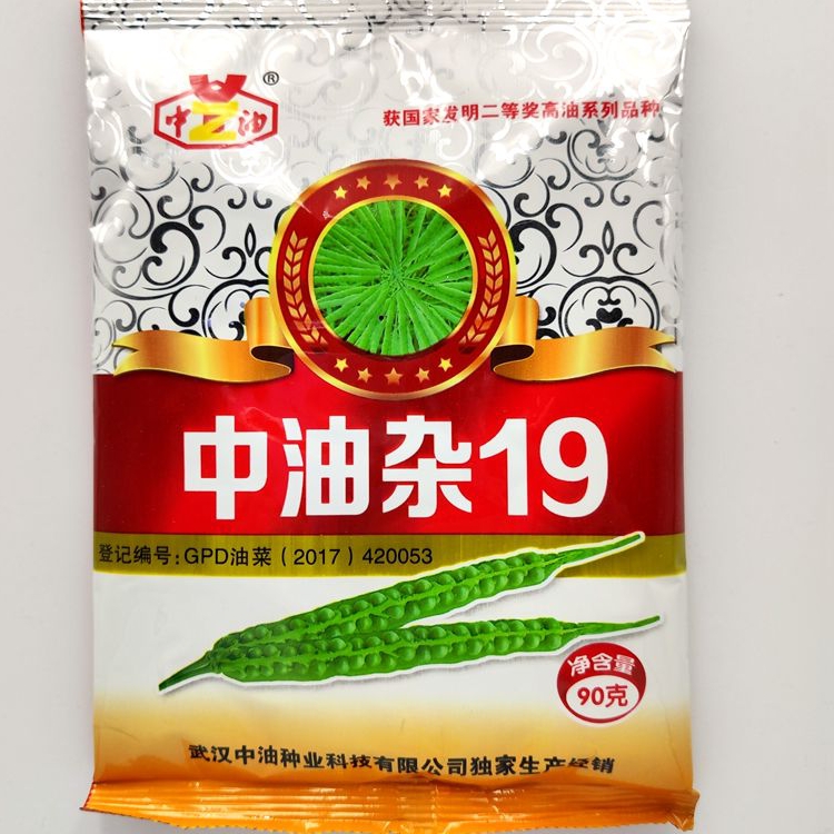 中油杂19油菜花籽抗倒伏高产高油