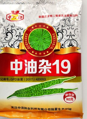 中油杂19油菜花籽抗倒伏高产高油