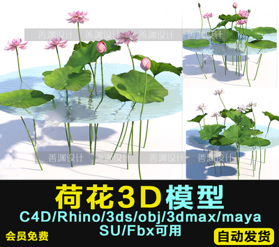 荷叶/荷花/莲花  3d植物C4D/犀牛/OBJ/3ds/3dmax/maya/FBX/SU可用