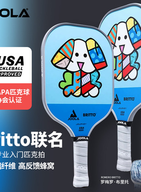 JOOLA匹克球拍儿童拍学生初学入门波普艺术Britto联名pickleball