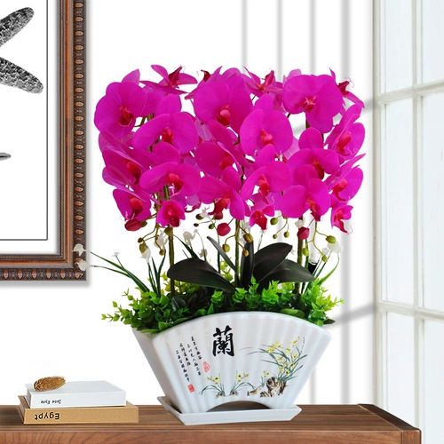 Phalaenopsis Simulation Цветочные орхидеи качаются новые китайские дома в гостиной.