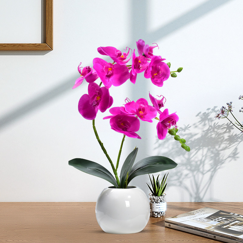 蝴蝶兰假花仿真花摆设轻奢花艺客厅餐桌花摆花装饰花办公室盆景,家居饰品,仿真花/假花,淘宝优惠券,粉丝福利购,淘宝优惠卷