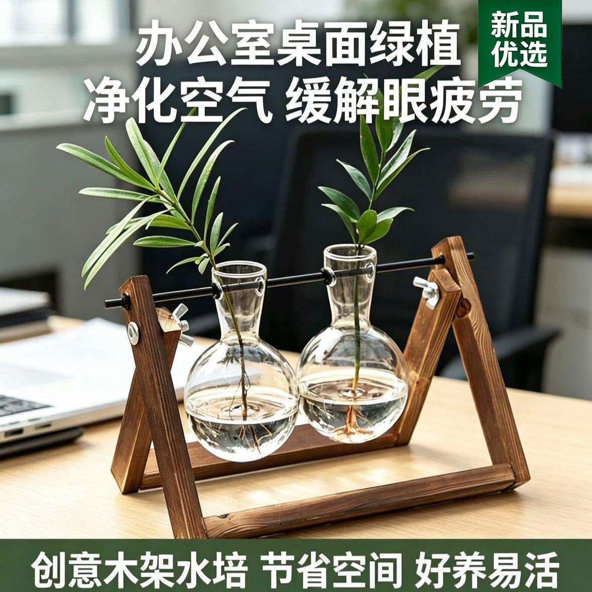 桌面小型水培植物创意木架绿萝花瓶办公装饰物玻璃花器客厅摆件