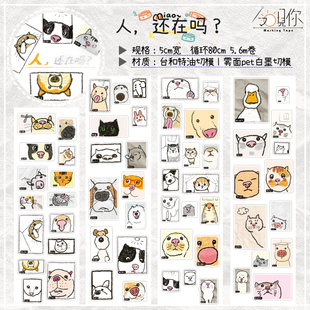整卷今日见你原创纸胶带人还在吗小动物视角手帐素材 现货