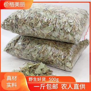 金钱草中药材金钱草干中草药材野生植物大小叶片草药茶包茶叶泡水