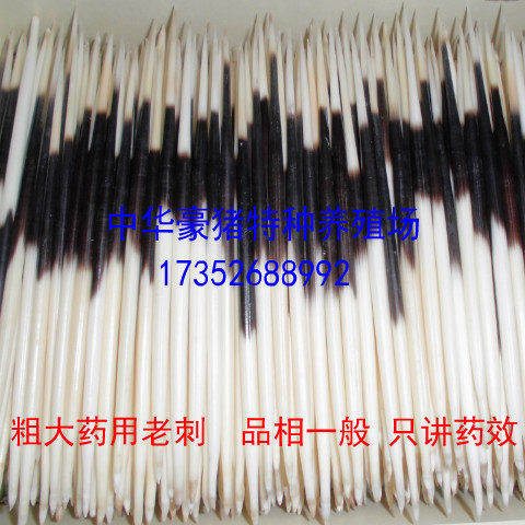 养殖豪猪刺 豪猪毛 刺猪刺 箭猪刺 药用豪猪刺 500克一件 包邮