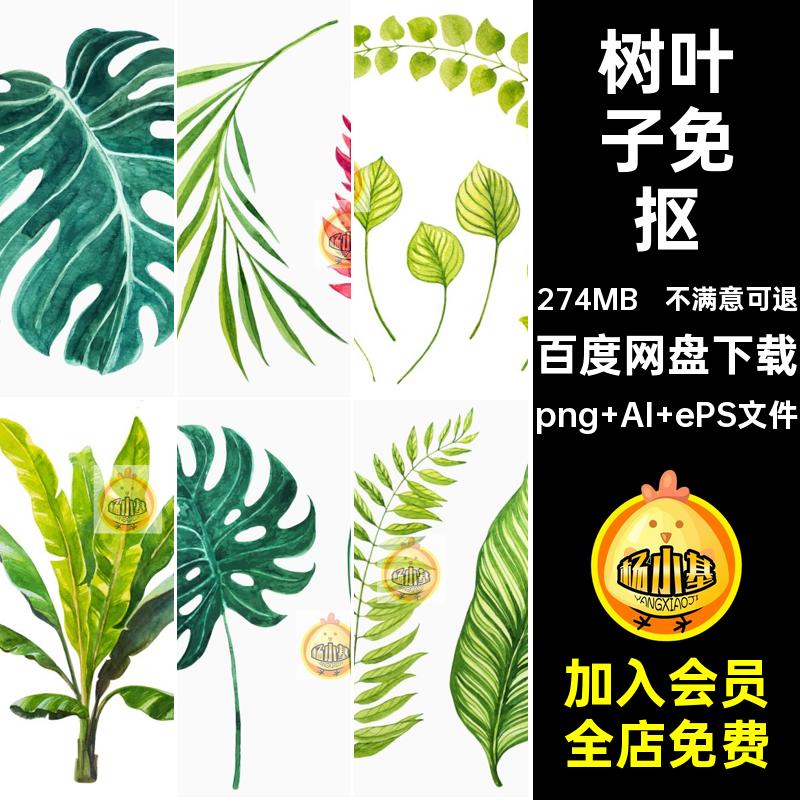 绿叶树叶子水彩手绘热带植物仙人掌龟背竹png免抠ai矢量图片素材