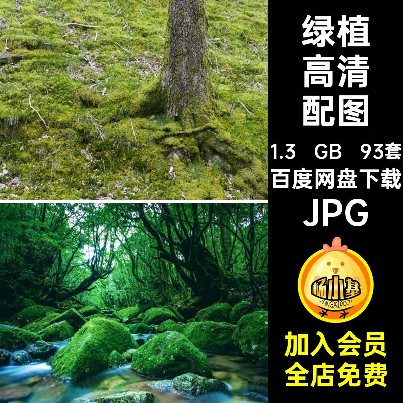 93套绿植高清配图绿色植物公益环保自然节日超高JPG树木户外植树