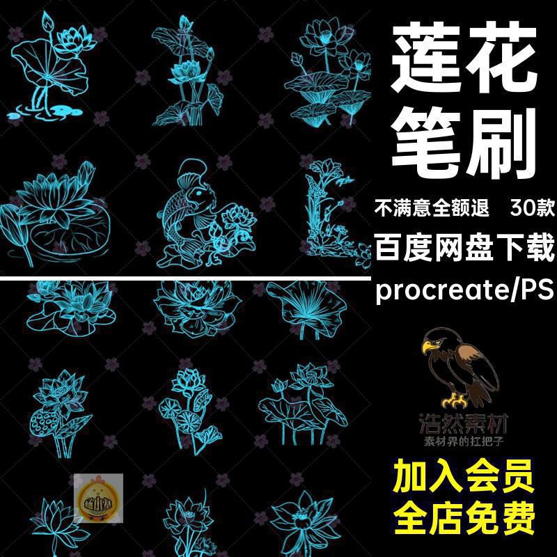 30款植物莲花笔刷荷叶睡莲花卉psprocreate素材荷花睡莲插画素材