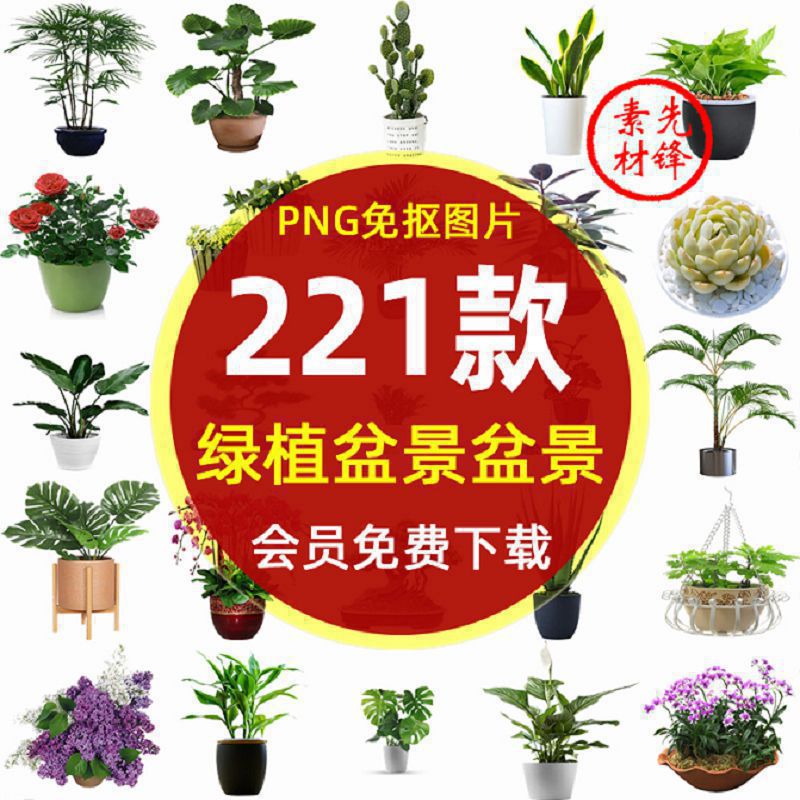 绿植花草盆栽盆景多肉PNG免抠图片 园林景观植物插图装饰设计素材