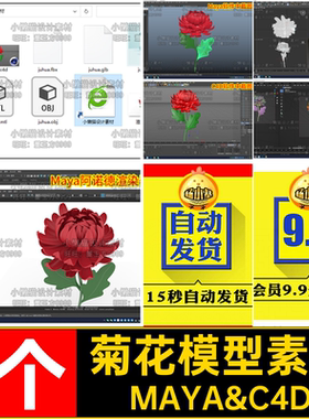 Maya菊花blender鲜花3dmax花卉c4d菊花obj fbx菊花模型素材-07320