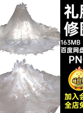 白色蓬蓬裙16张PNG换透明裙摆大抠免裙摆婚纱照衣服PNG礼服婚纱照