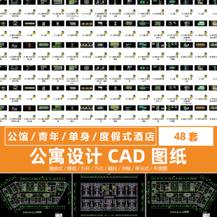 青年单身居家小公寓设计方案户型标准层平面图cad图纸度假式酒店