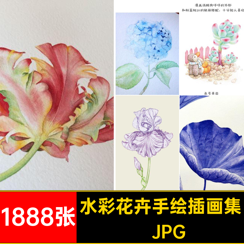 1888张水彩花卉手绘插画集临摹植物肉淡教程稿电子版多线图片素材