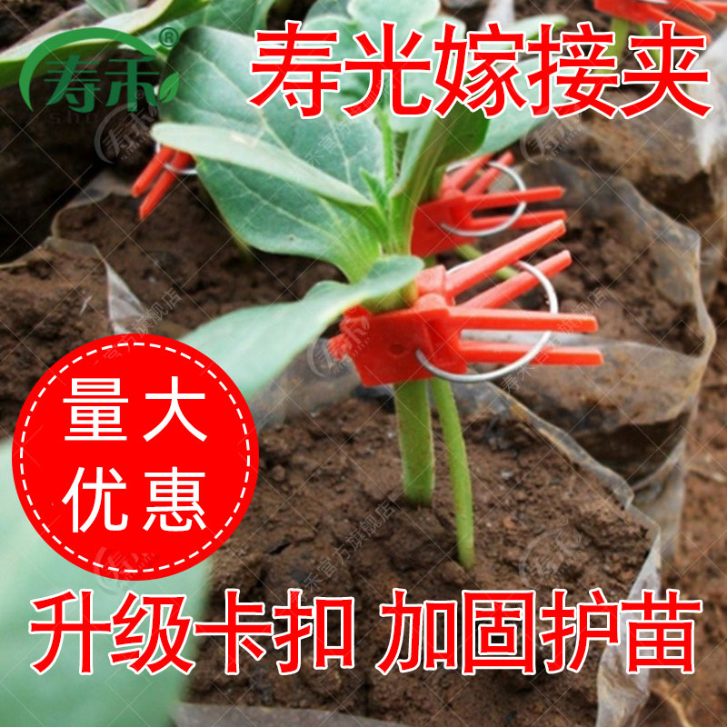 寿光蔬菜通用嫁接夹黄瓜番茄西瓜苗专用塑料瓜苗植物小夹子工具-封面