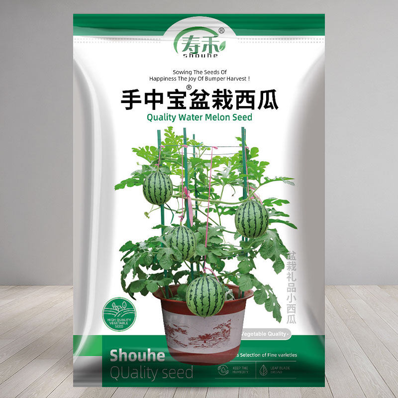 手中宝盆栽西瓜种子种籽孑苗秧秧苗礼品南方麒麟西爪8424水果孑