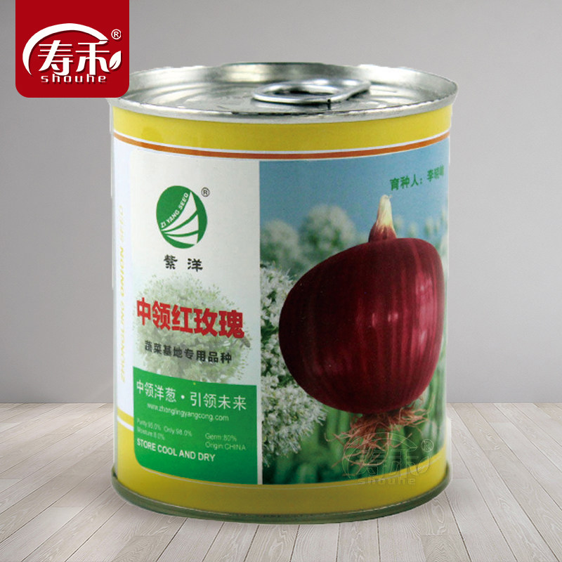 中领红玫瑰洋葱种子紫皮洋葱种籽耐寒圆葱扁圆紫红色蔬菜种植种孑