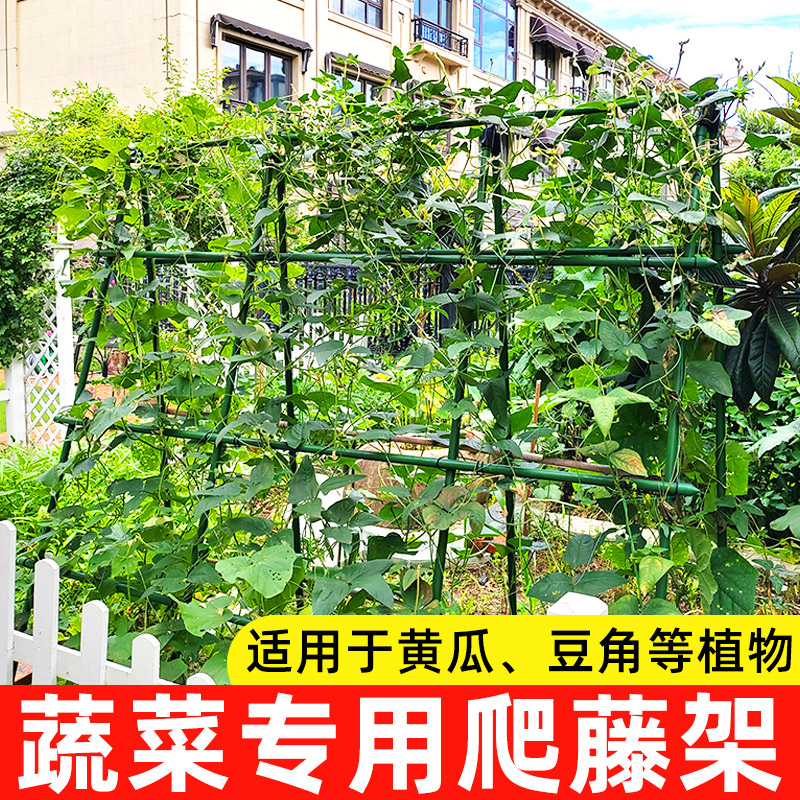 黄瓜爬藤架蔬菜搭架支撑杆图片