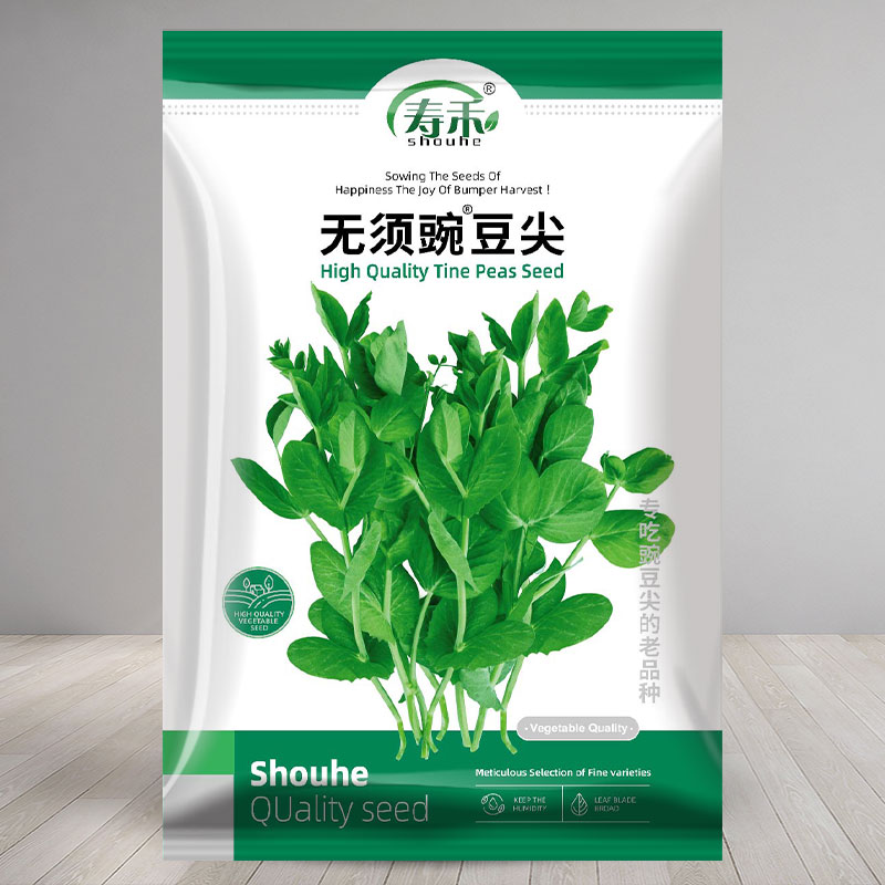 无须豌豆芽苗菜豌豆苗