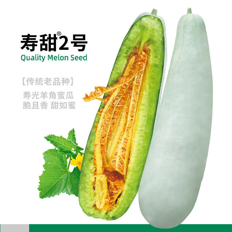 春季羊角蜜种子羊角蜜瓜苗酥甜瓜种籽苗孑秧脆高产香瓜四季秧苗密
