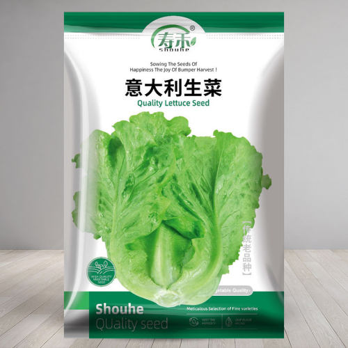 意大利全年生菜王种子四季