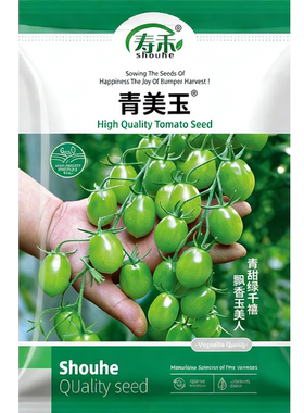 青美玉樱桃小番茄种子绿色小番茄种籽苗秧西红柿种籽孑子圣女果苗