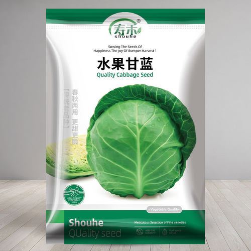 种子绿甘蓝卷心菜四季
