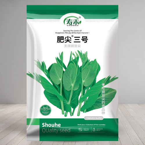 无须荷兰豌豆盆栽豌豆苗