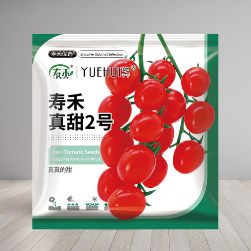 红美玉番茄靓丽红果酸甜可口
