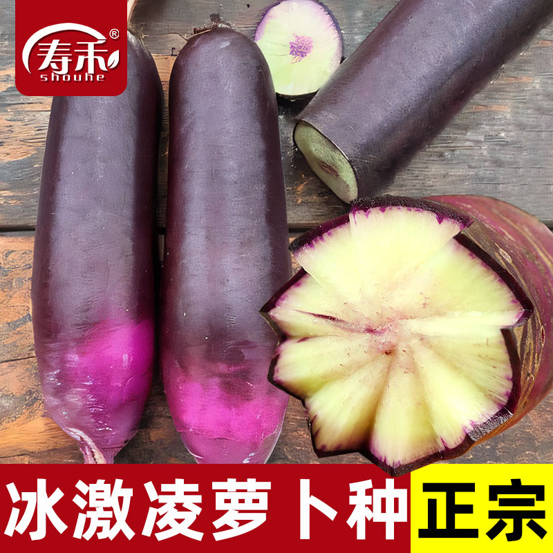 冰激凌水果萝卜种子种籽