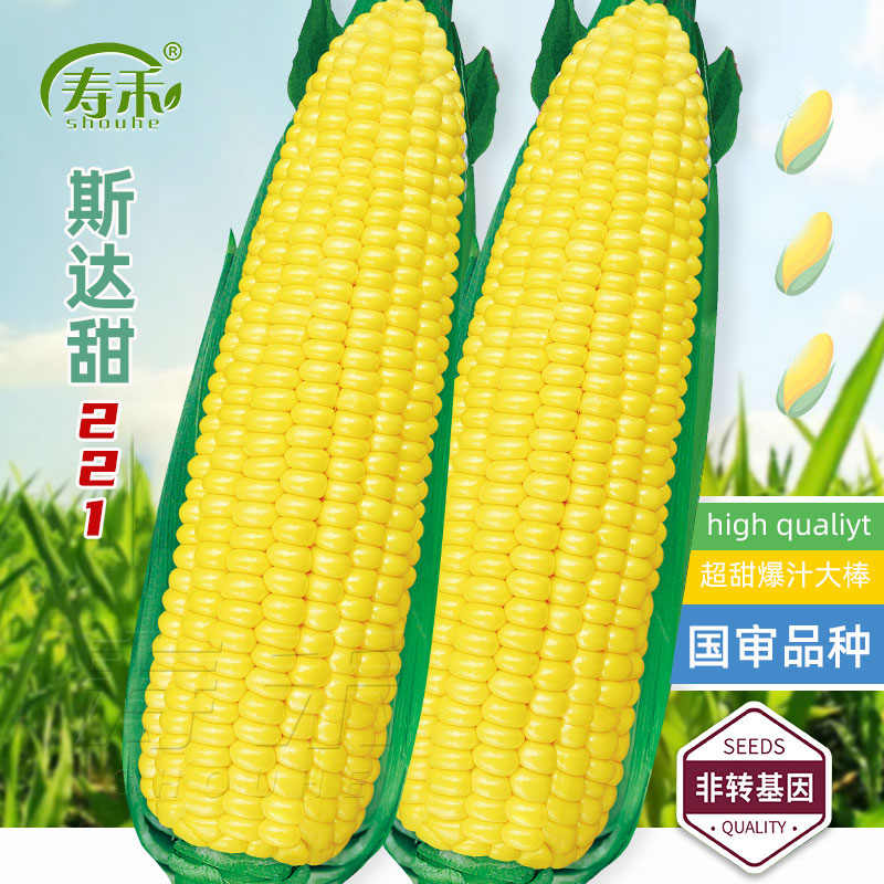 쳬ˮ紺ŴļŴȫش߲ʵ25.8Ԫ,ۺ6.45/